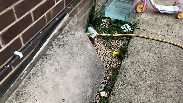 frequentmasturbation