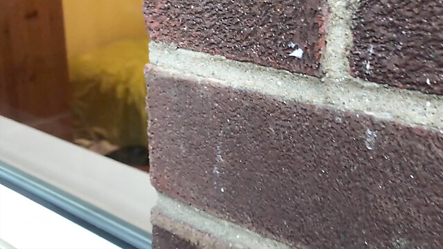 frequentmasturbation