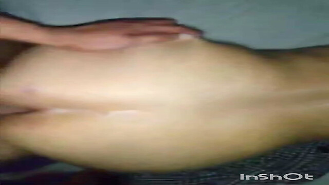 elpaquik01