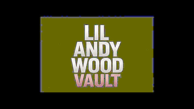 LilAndyWood