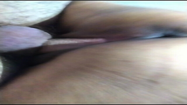 Cexsar36
