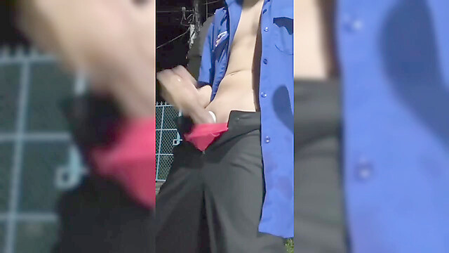 EvergreenInsignia757