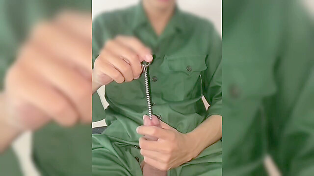 EvergreenInsignia757