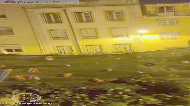 AmateurBoysPissing
