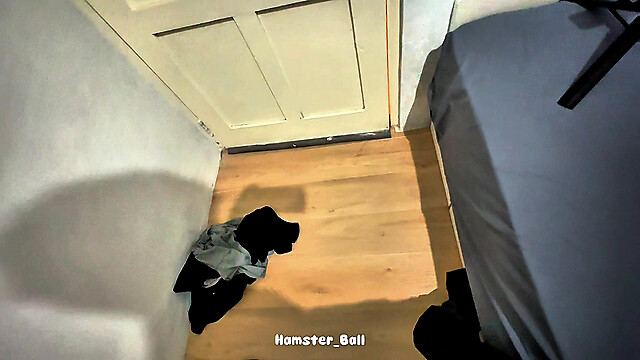 Hamster_Ball