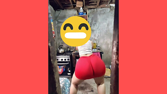 Xprohibidox1