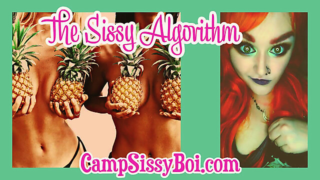 campsissyboi