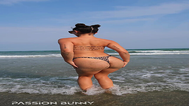 PassionBanny