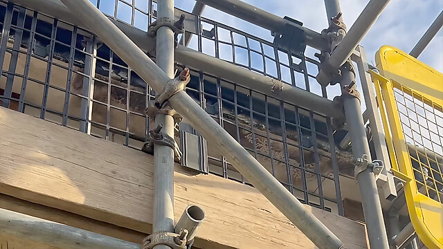 frequentmasturbation