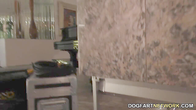 DogfartNetwork