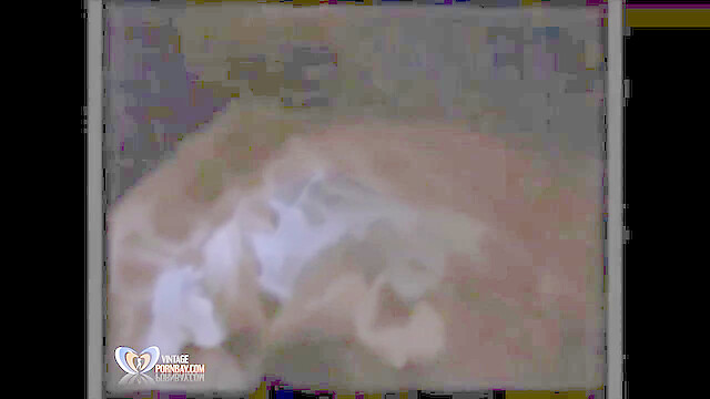 Vintagepornbaydotcom