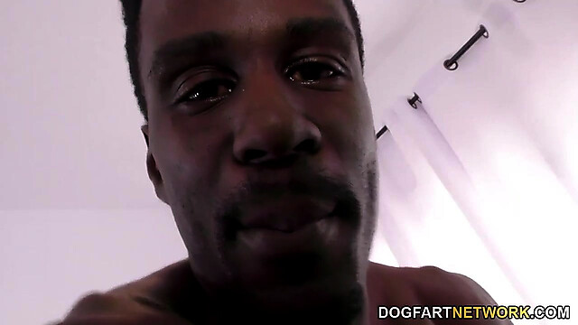 DogfartNetwork
